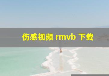 伤感视频 rmvb 下载